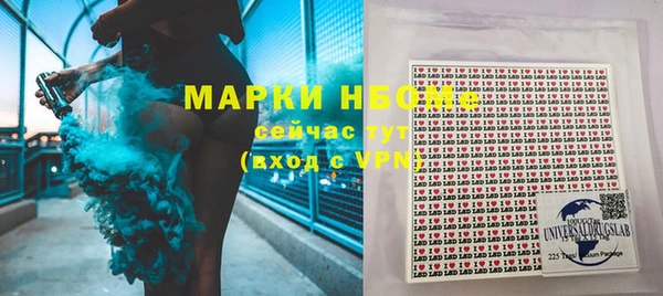 прущие грибы Алексеевка