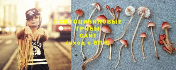 не бодяженный Алексин