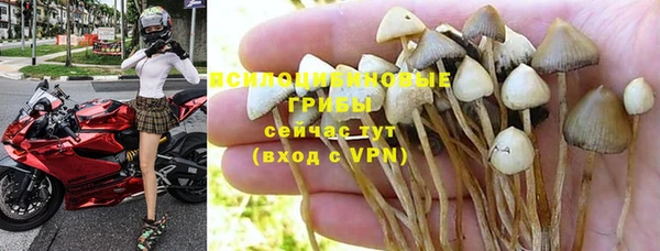 не бодяженный Алексин