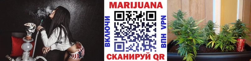 сколько стоит  darknet как зайти  Бошки Шишки SATIVA & INDICA  Оленегорск 